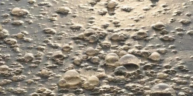 污水廠內的生物氣溶膠怎么產生，污水從業人員如何做好防護？-