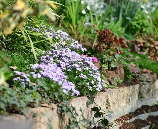 南北花園給排水問題差異大,你知道嗎?- 南北花園給排水問題差異大,你知道嗎?-